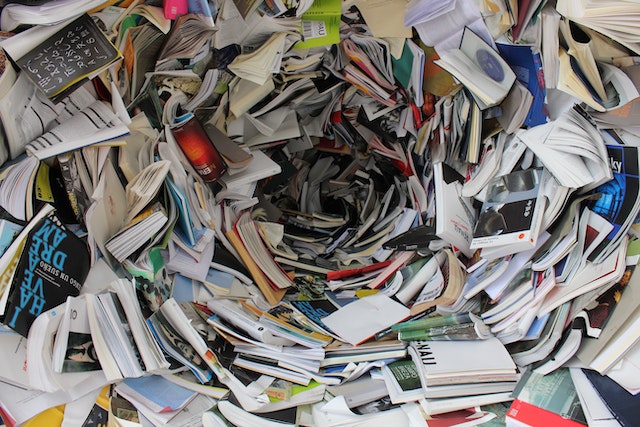 Che cosa studia filosofia?