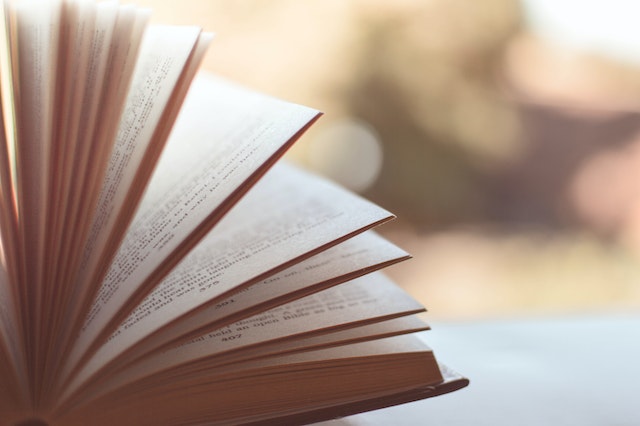 Cosa si intende per la letteratura?