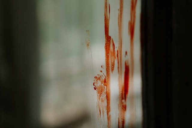 Cos’è il cannibalismo